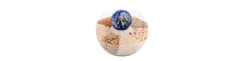 Épicerie du monde | Achetez en ligne